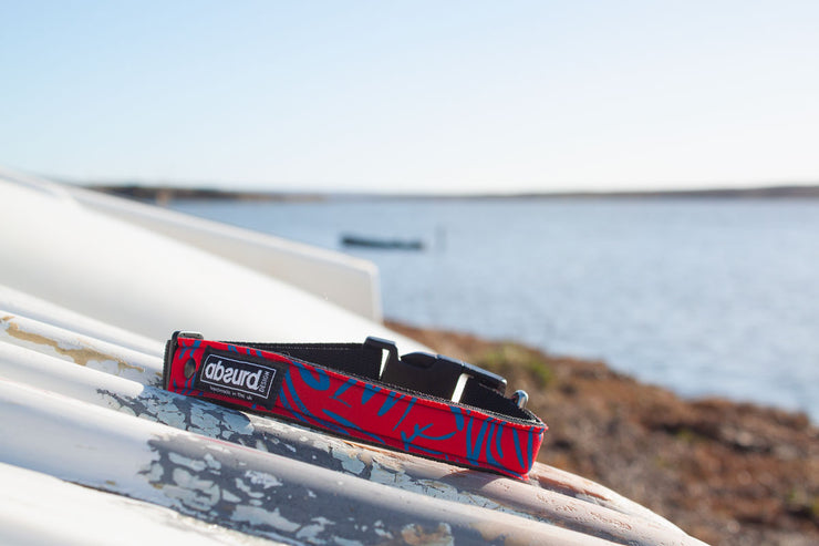 Neoprene Dog Collar: Majestic