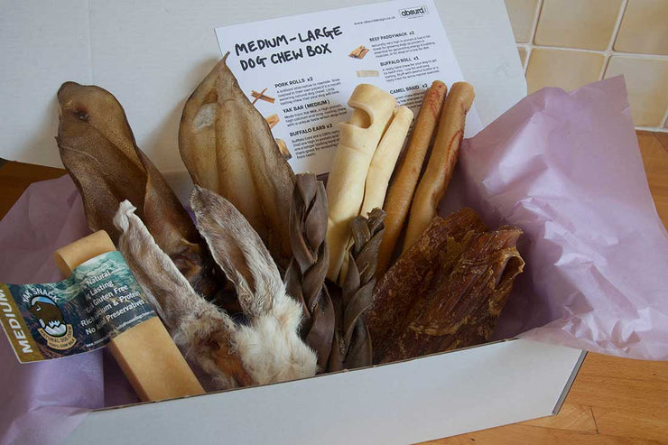 Dog Chew Box - Medium to Large Dog