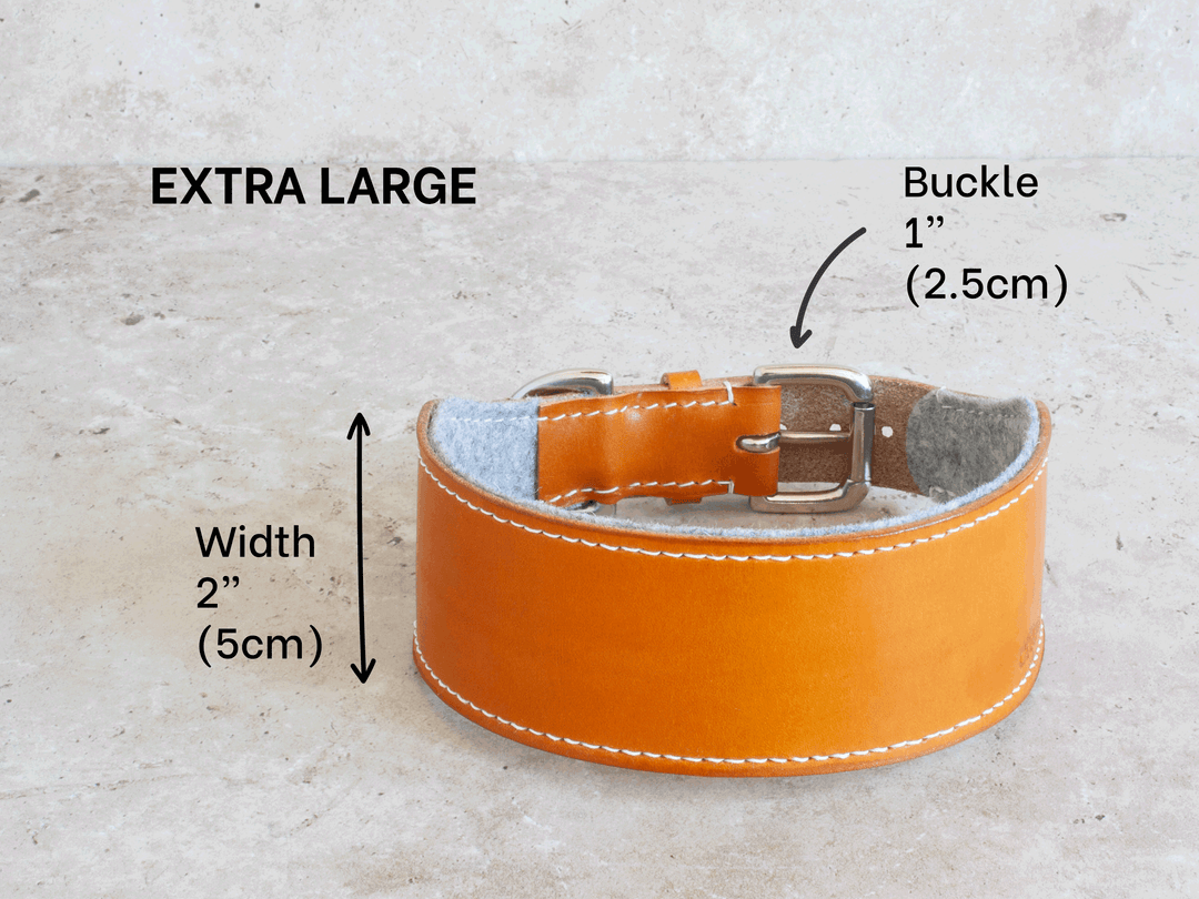 Oak Bark Tanned Leather Hound Collar