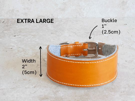 Oak Bark Tanned Leather Hound Collar