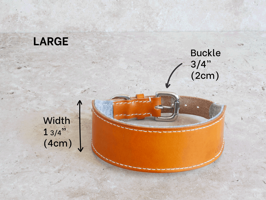 Oak Bark Tanned Leather Hound Collar