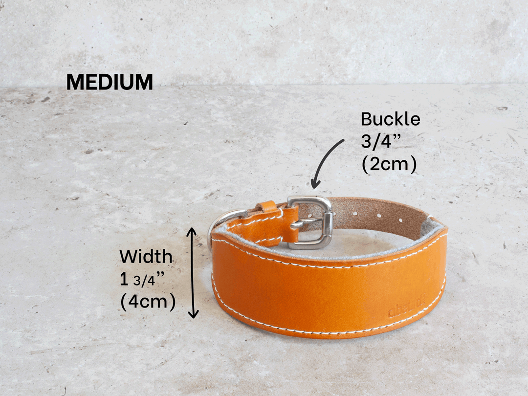 Oak Bark Tanned Leather Hound Collar