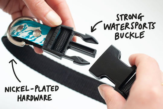 Neoprene Dog Collar: Pool Party