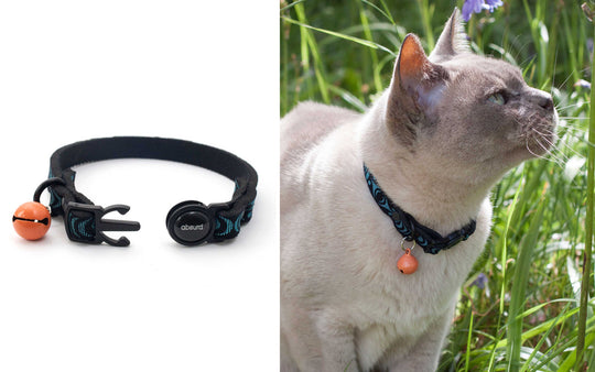 Upcycled Neoprene Safety Breakaway Cat Collar
