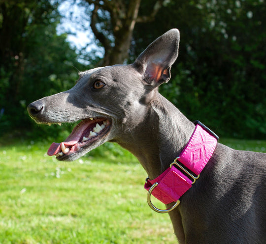Chic Martingale and Lead Set: Cerise