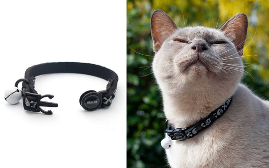 Upcycled Neoprene Safety Breakaway Cat Collar