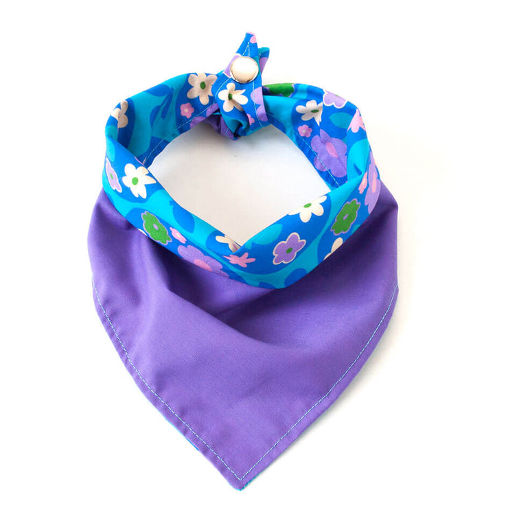 Fun Dog Bandana: Popsicle