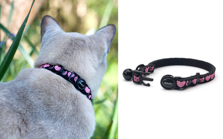 Upcycled Neoprene Breakaway Cat Collar