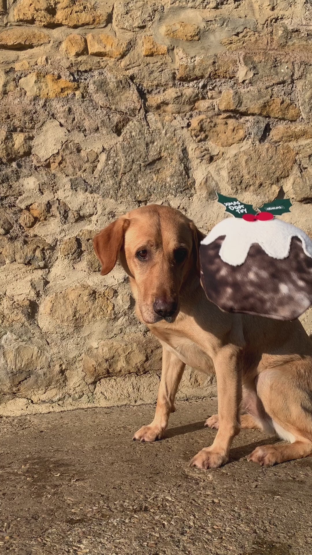 Upcycled Wetsuit Dog Toy - Christmas Pudding