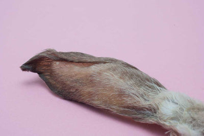 Hairy Rabbit Ears- Each