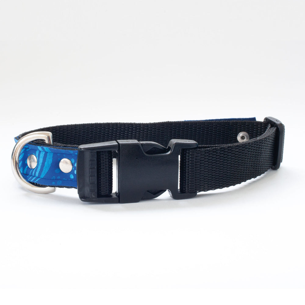 Neoprene Dog Collar: Reef
