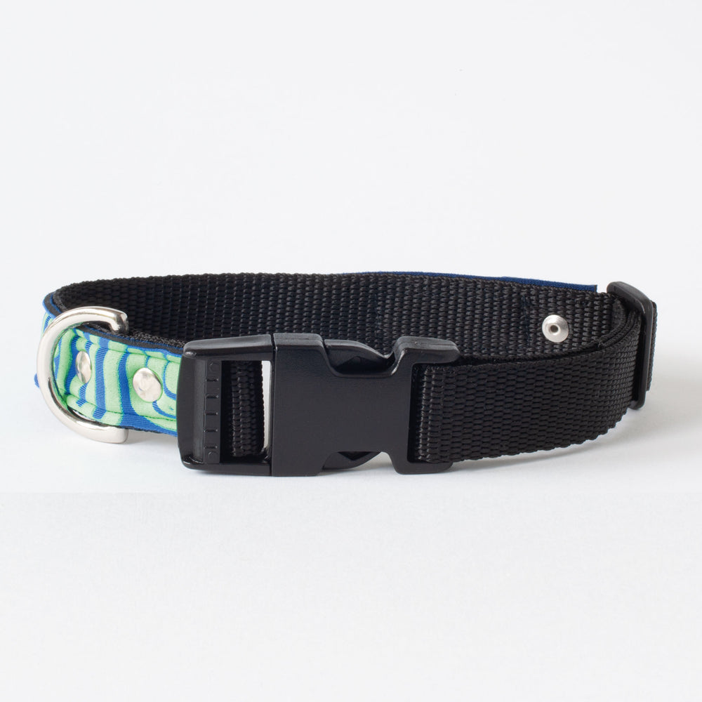 Neoprene Dog Collar: SeaBreeze