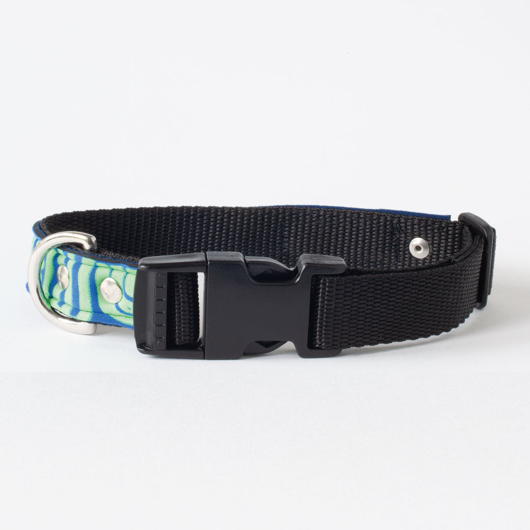 Neoprene Dog Collar: SeaBreeze