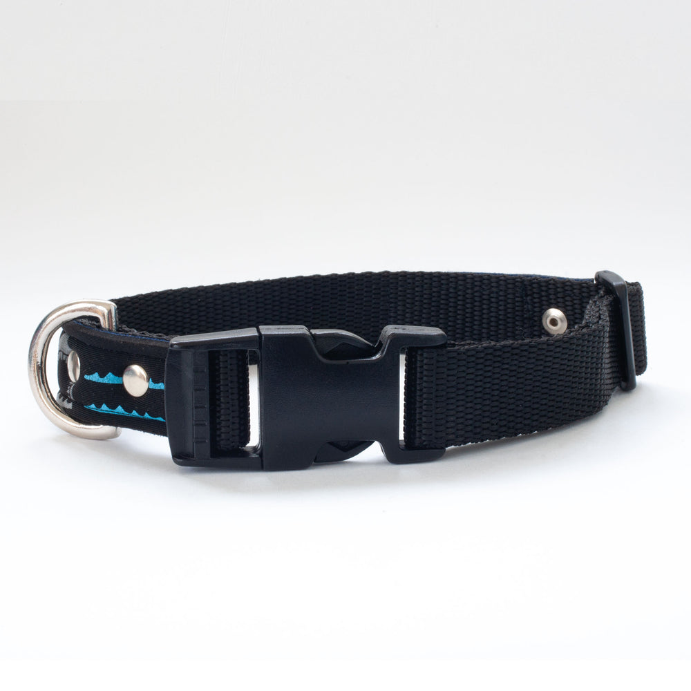Neoprene Dog Collar: Shark Bait