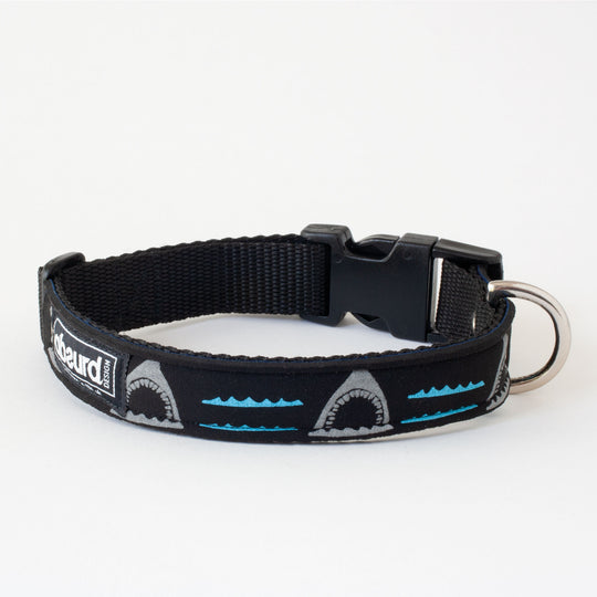 Neoprene Dog Collar: Shark Bait