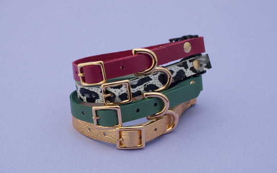 Luxury Leather Cat Collars with Breakaway Buckle