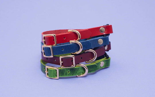 Fancy Leather Cat Collars with Breakaway Buckle