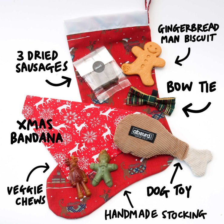 Christmas Stocking Dog Gift