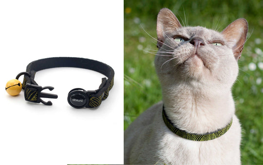 Upcycled Neoprene Breakaway Cat Collar