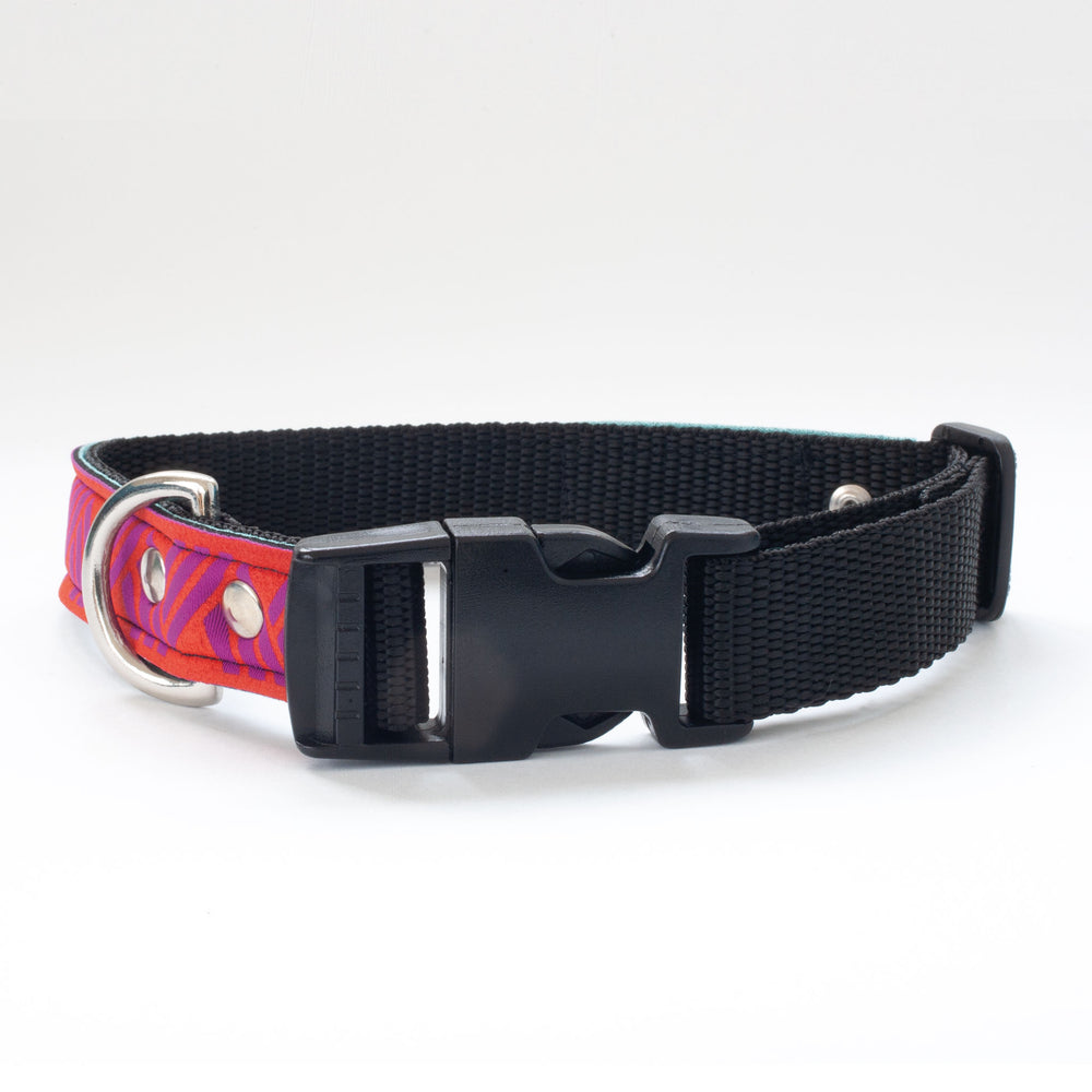 Neoprene Dog Collar: ZigZag