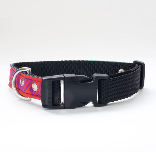 Neoprene Dog Collar: ZigZag