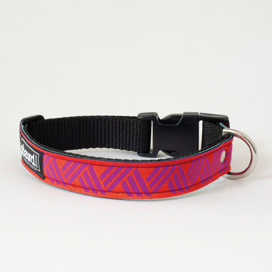 Neoprene Dog Collar: ZigZag