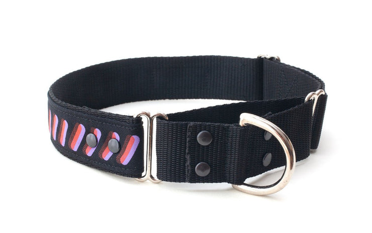 dog training collar showing large loop and D ring on small loop