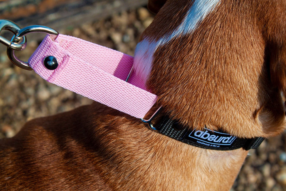 Martingale Collar | Quick Release Buckle | 1" Width - Absurd Design