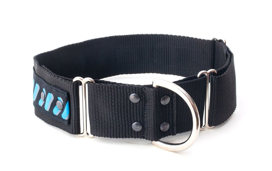 Martingale Dog Collar : 2" Width - Absurd Design