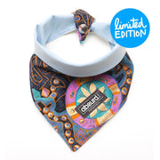 Fun Dog Bandana: Arabian Nights - Absurd Design