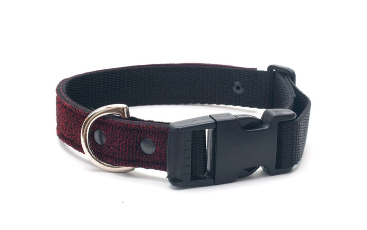 Neoprene Dog Collar: Wooly Jumper - Absurd Design 
