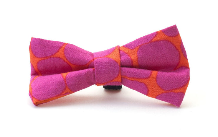 Fabric Dog Dickie Bow: Beehive - Absurd Design