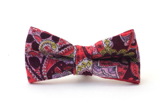 Fabric Dog Dickie Bow: Boho - Absurd Design