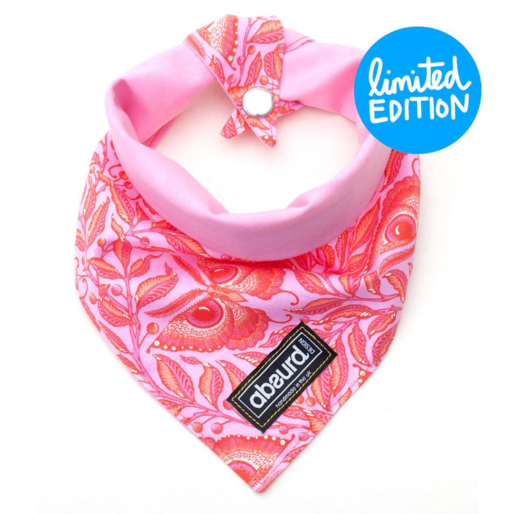 Fun Dog Bandana: Bright Eyes - Absurd Design