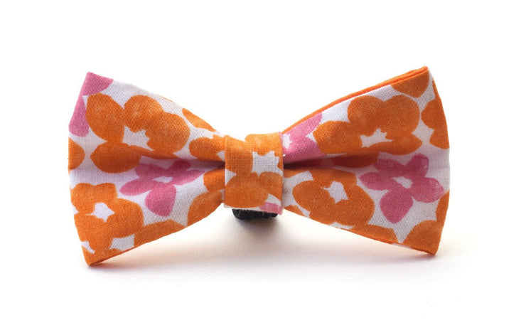 Fabric Dog Dickie Bow: Calypso - Absurd Design