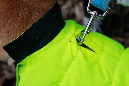 Designer Waterproof Dog Coat: Black/Hi-Vis - Absurd Design