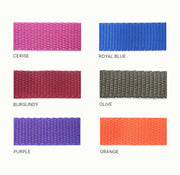 Martingale Collar | Quick Release Buckle | 1" Width - Absurd Design