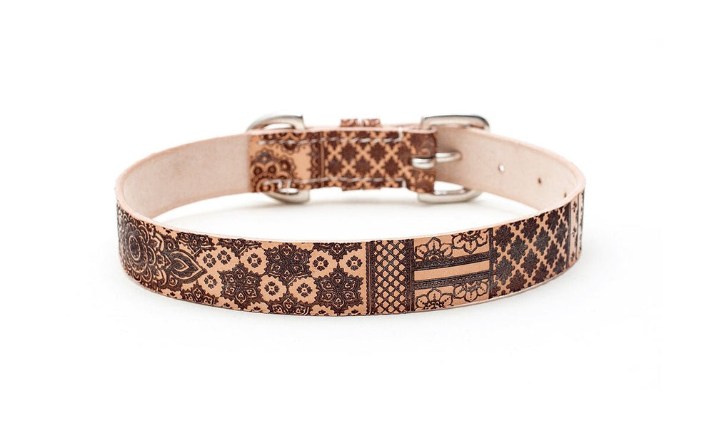 Etched Leather Dog Collar : Anise - Absurd Design