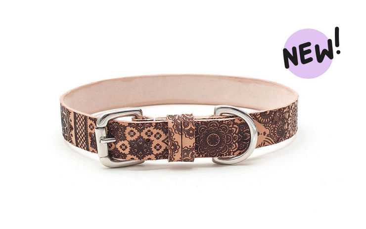 Etched Leather Dog Collar : Anise - Absurd Design