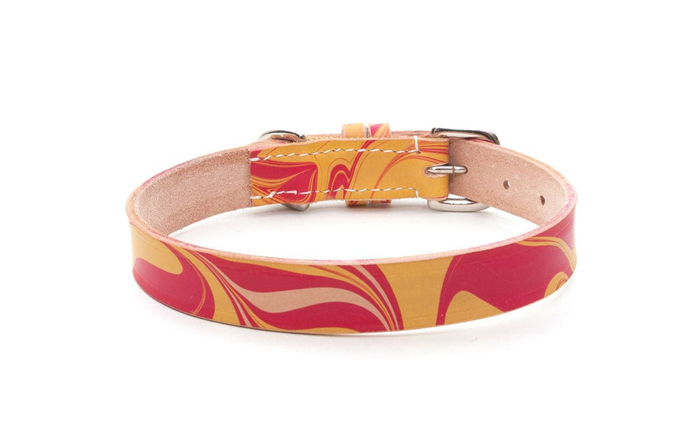 Leather Dog Collar: Firecracker - Absurd Design