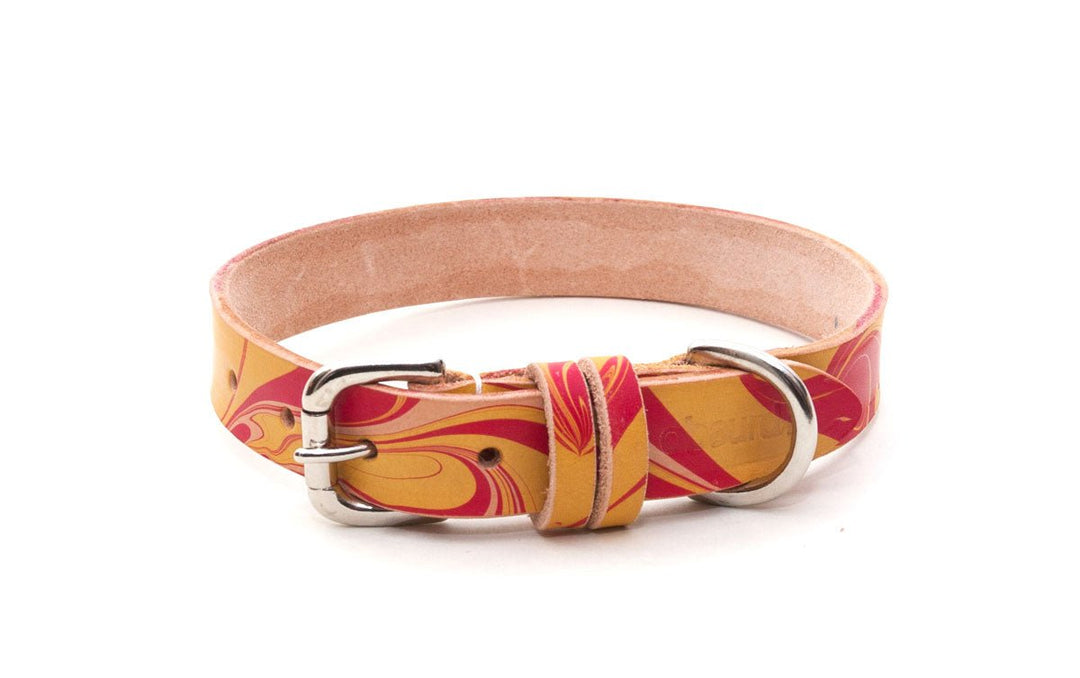 Leather Dog Collar: Firecracker - Absurd Design