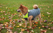 Designer Waterproof Dog Coat: Grey/Hi-Vis - Absurd Design