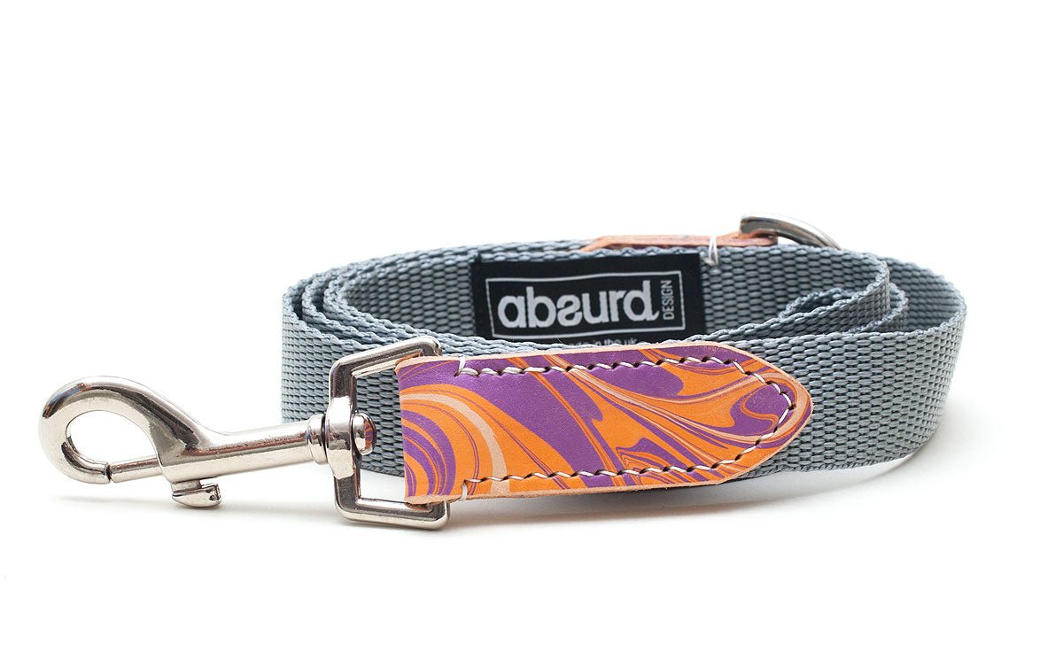 GroovyBaby Orange and Purple Dog Lead Leash 
