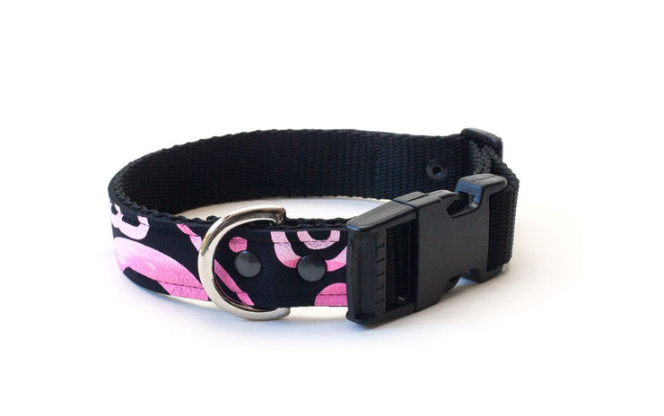 cool upcycled wetsuit dog collar, comfortable, with buckle