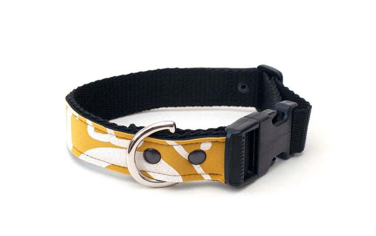 Neoprene dog collar with strong side release buckle, D ring