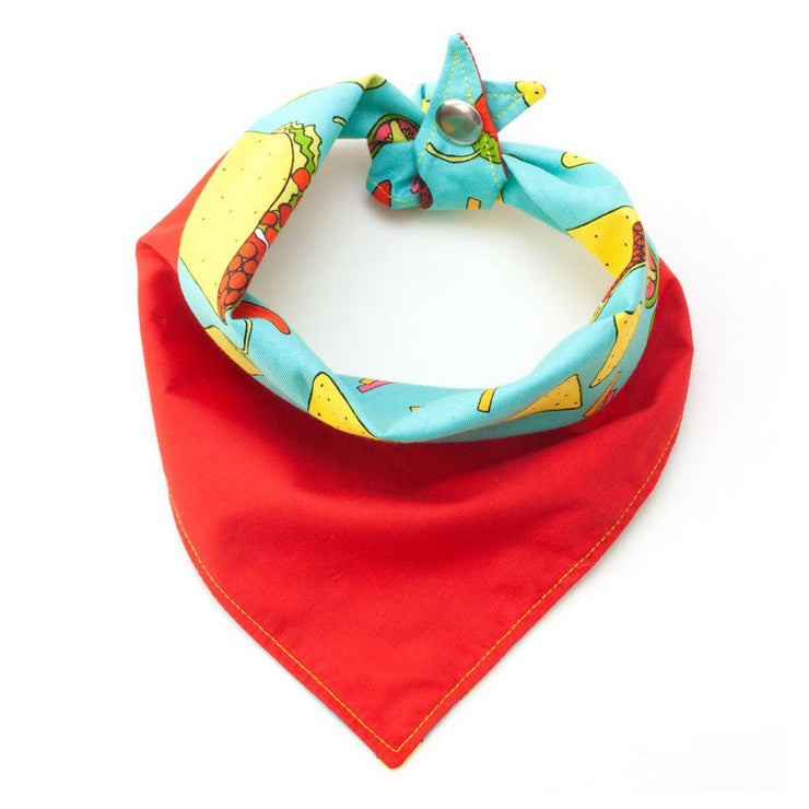 Fun Dog Bandana: Hot Stuff - Absurd Design
