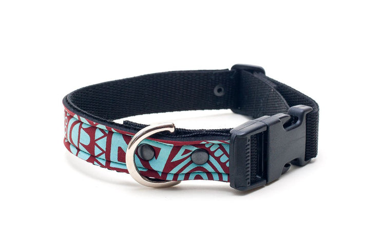 Neoprene Dog Collar: Kuzco - Absurd Design 