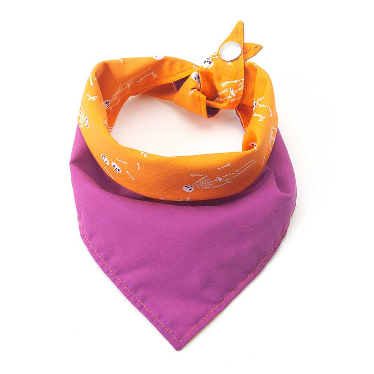 Halloween Dog Bandana: LazyBones - Absurd Design