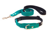 Emerald green buckle martingale dog collar and lead set