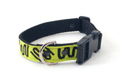 Neoprene Dog Collar: LilyPad